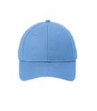 Carolina Blue
